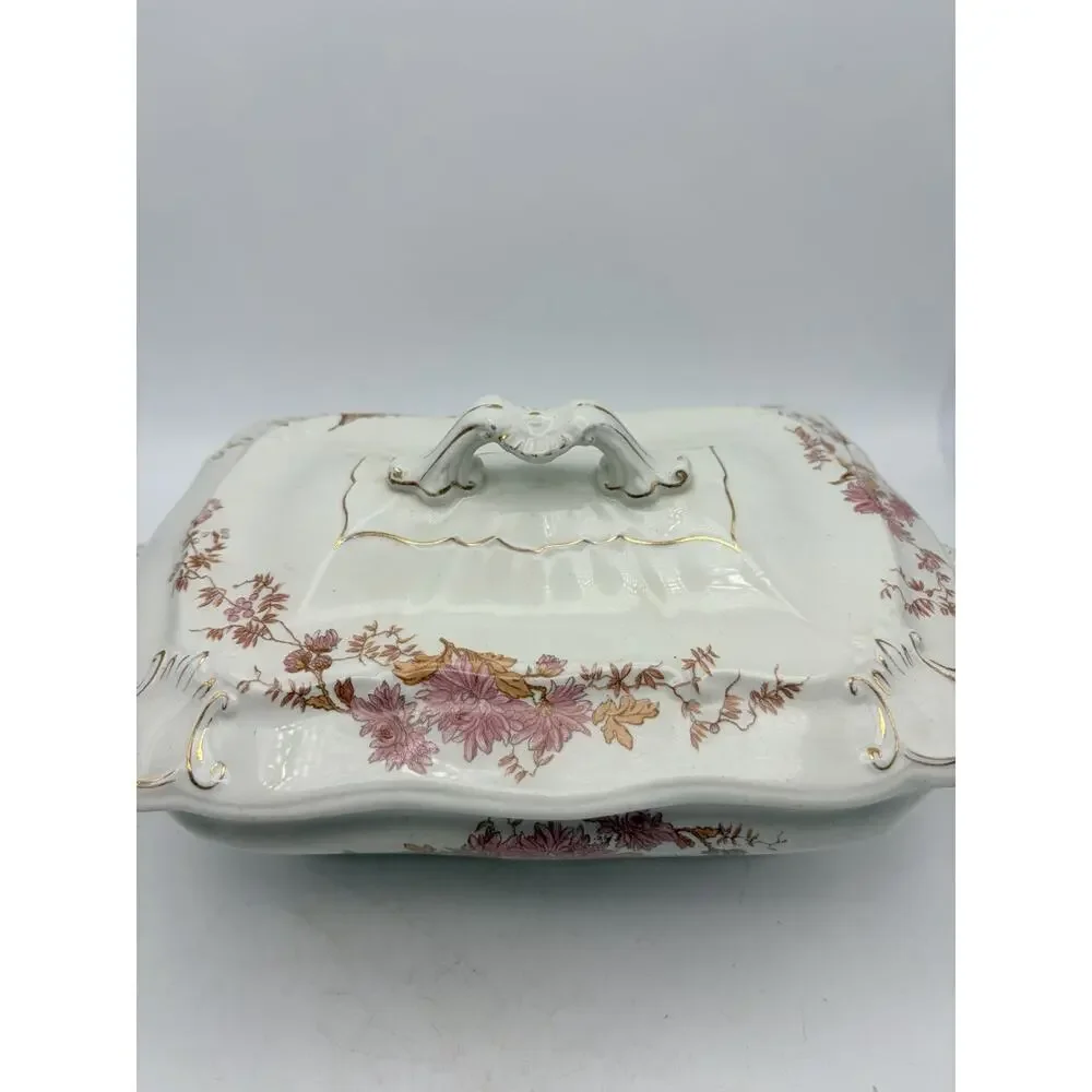 Antique Ridgway Semi Porcelain. 1890.